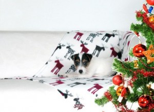manta-navidena-para-perros