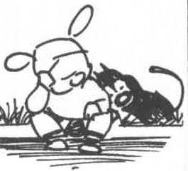 foto8