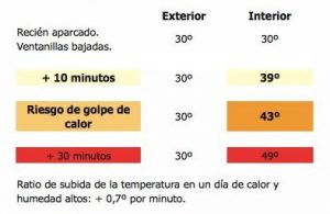 imagen1