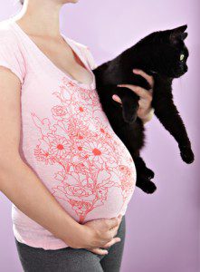 toxoplasmosis1